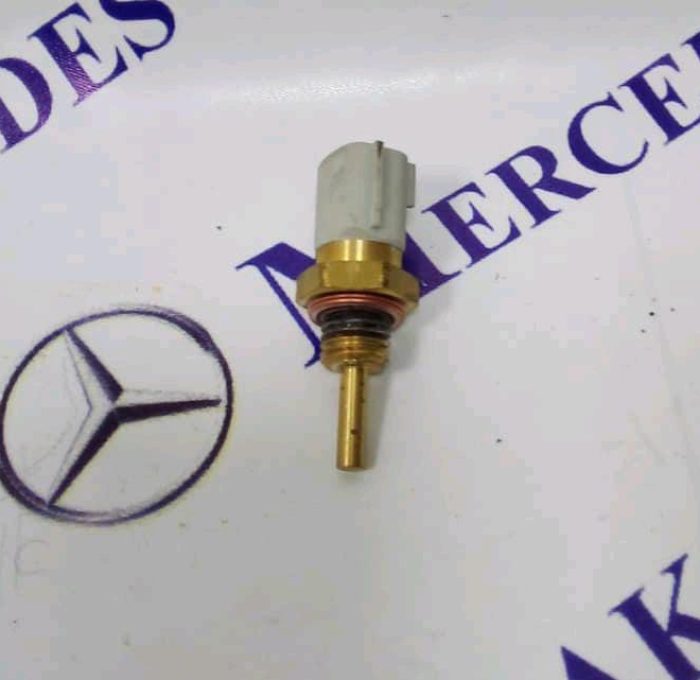 فشنگی آب رنو تالیسمان آکبند اورجینال